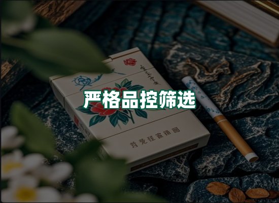 核心优势